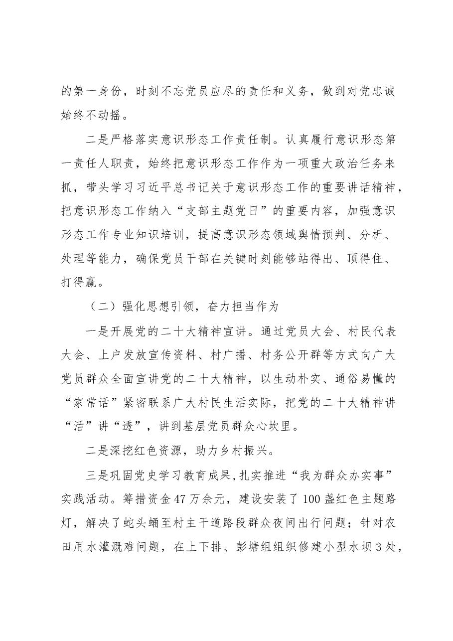 XX镇XX村2022年度基层党建工作述职报告和工作总结.doc,第2页预览