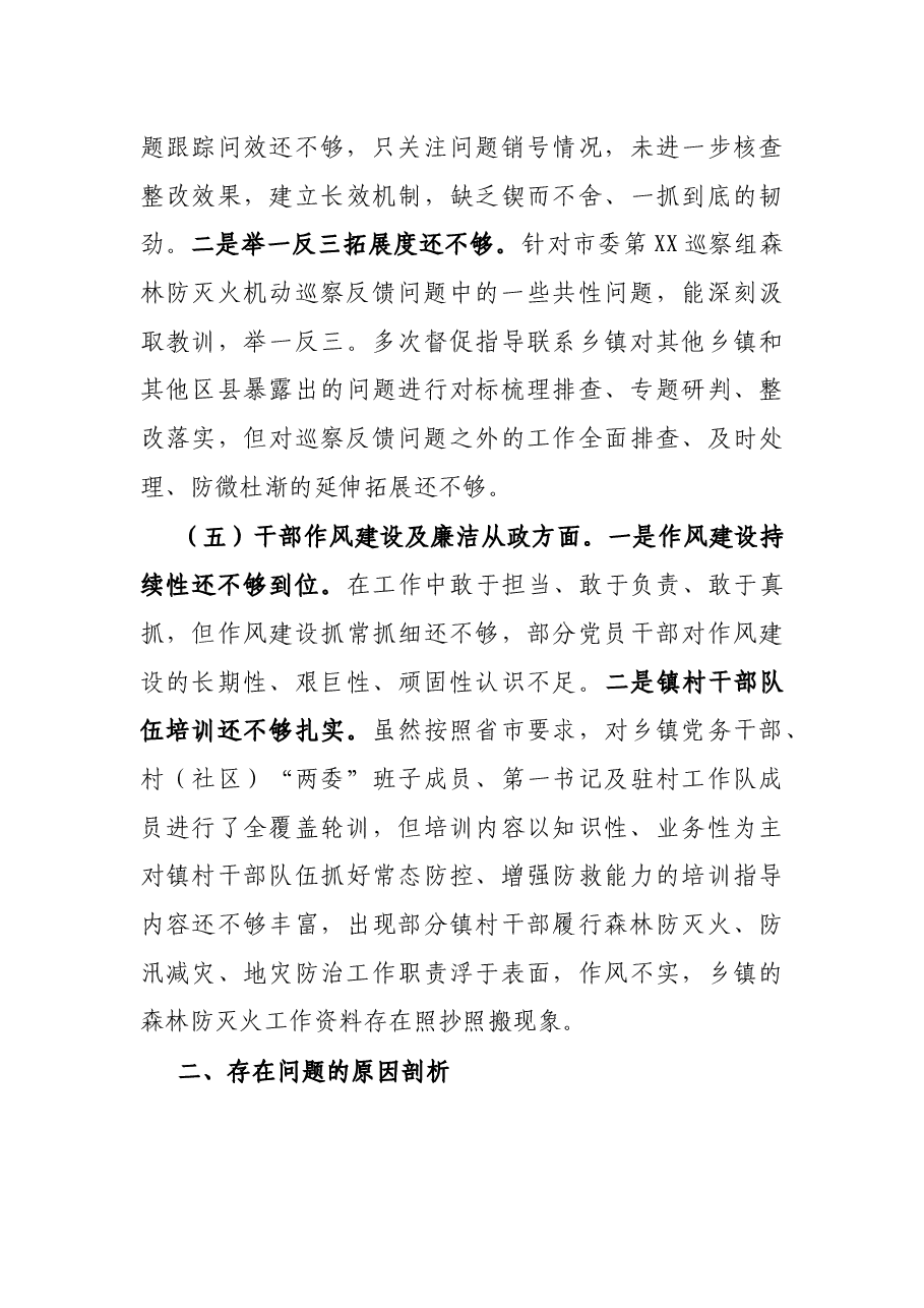县委组织部长在县委常委班子森林防灭火、防汛减灾、地灾防治工作专题民主生活会个人检视剖析材料.docx,第4页预览