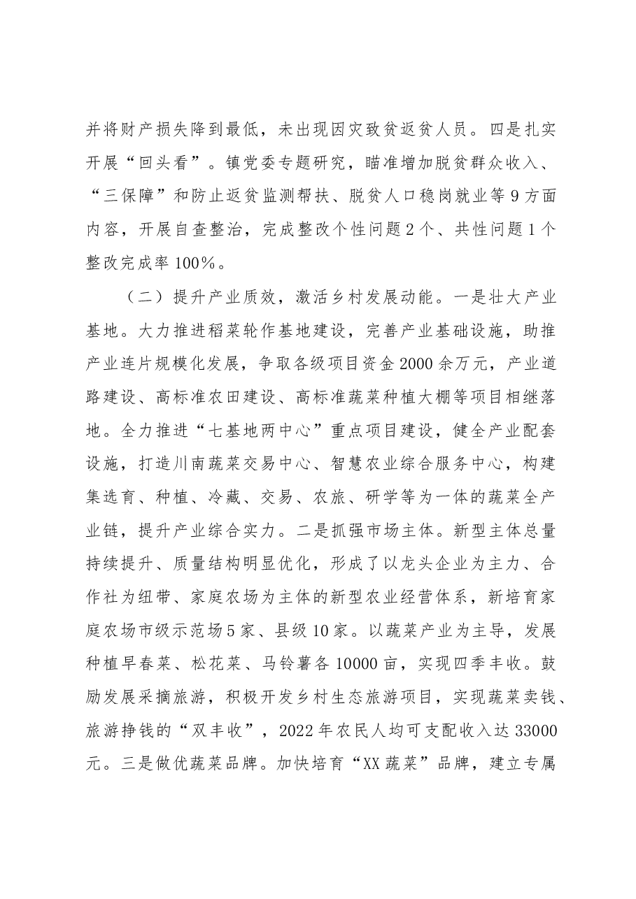 XX镇2022年度实施乡村振兴战略工作述职报告.docx,第2页预览