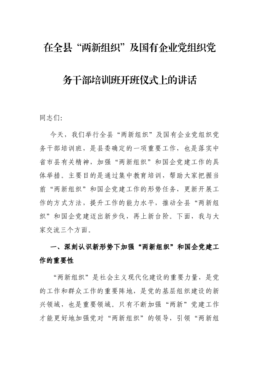 在全县“两新组织”及国有企业党组织党务干部培训班开班仪式上的讲话.docx,第1页预览