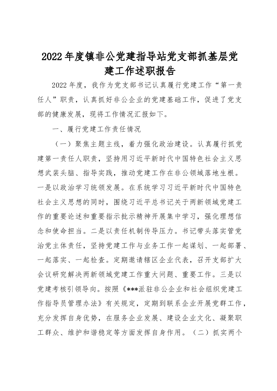 2022年度镇非公党建指导站党支部抓基层党建工作述职报告.docx,第1页预览