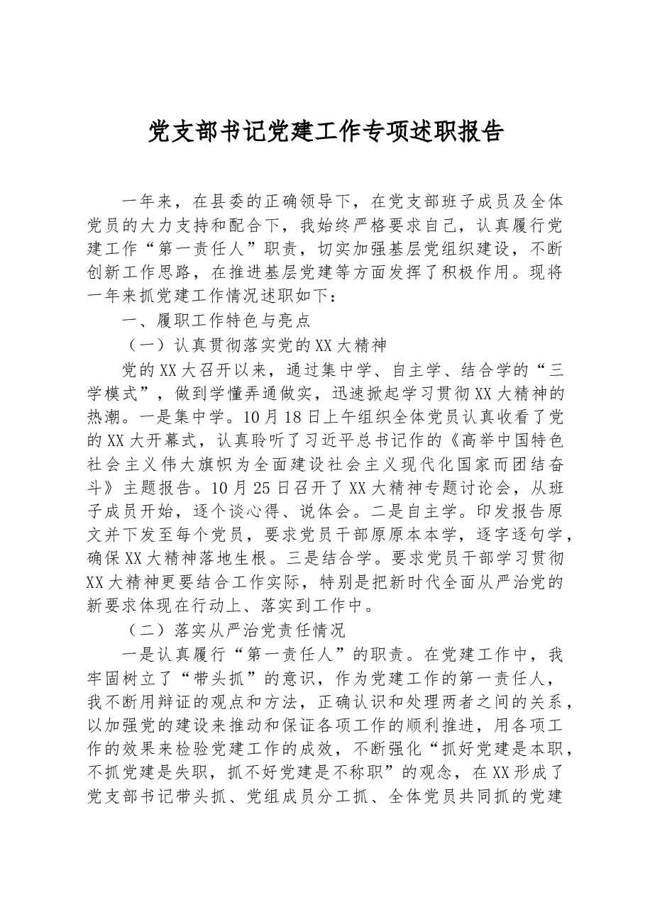 党支部书记党建工作专项述职报告.docx,第1页预览