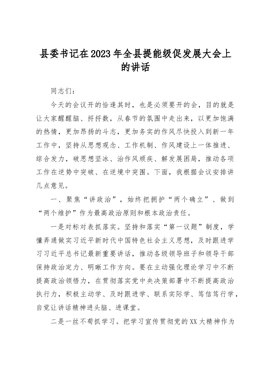 县委书记在2023年全县提能级促发展大会上的讲话.docx，第1页预览