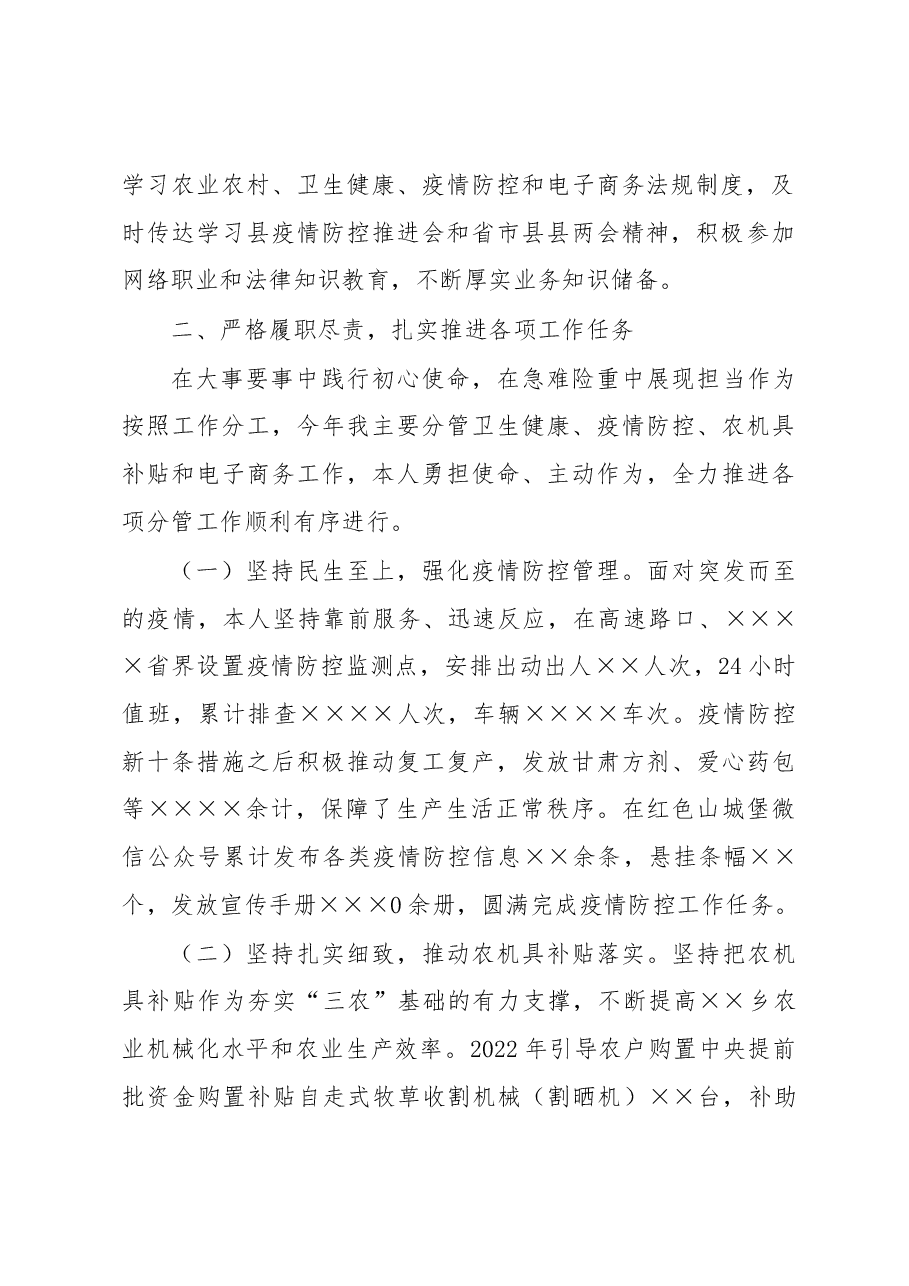 2022年度乡镇副职述职述廉报告.docx,第2页预览