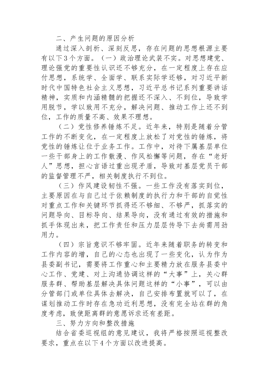 党员领导干部个人在巡视整改民主生活会上的发言.docx,第4页预览