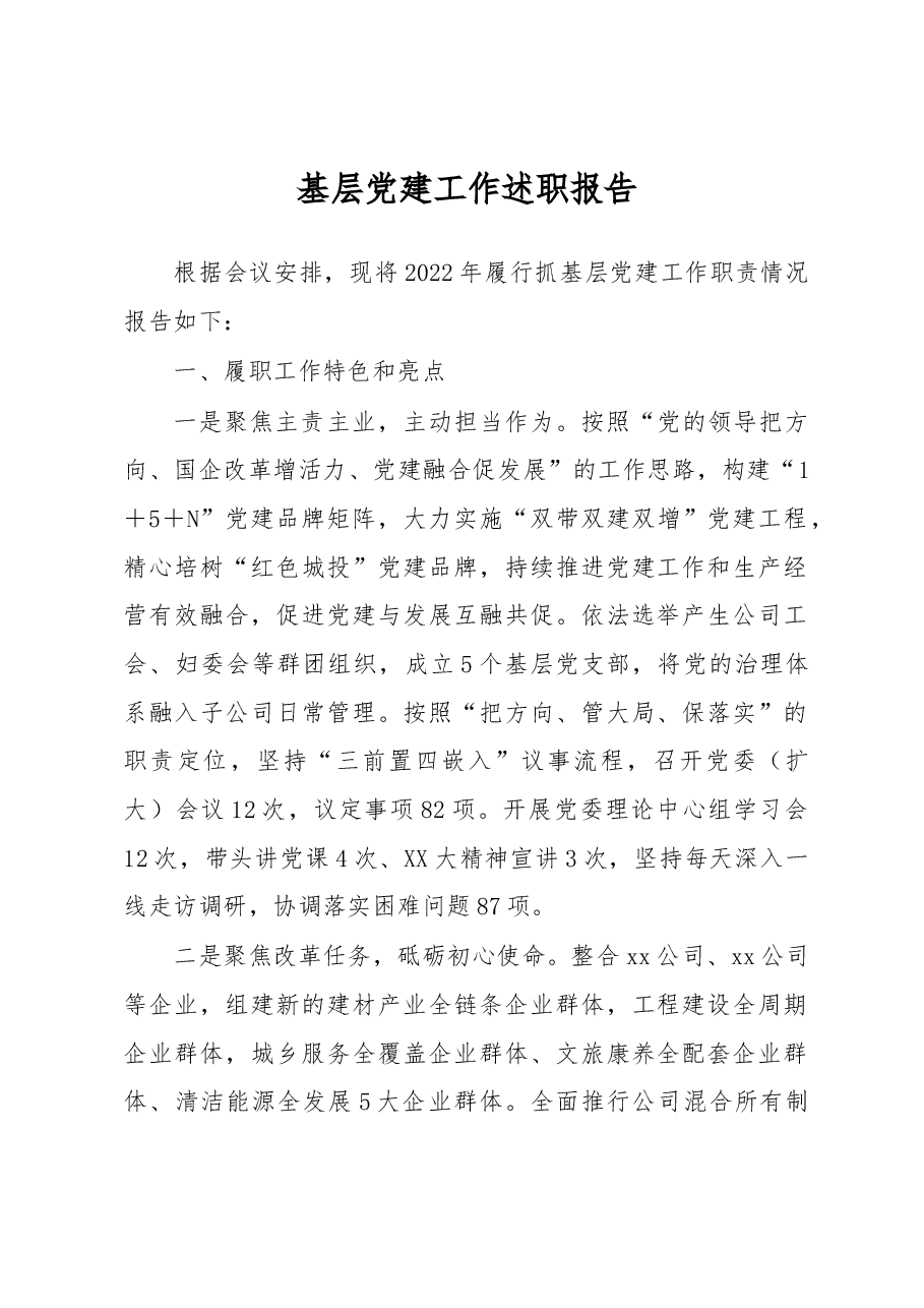 集团公司党建工作述职报告.docx,第1页预览