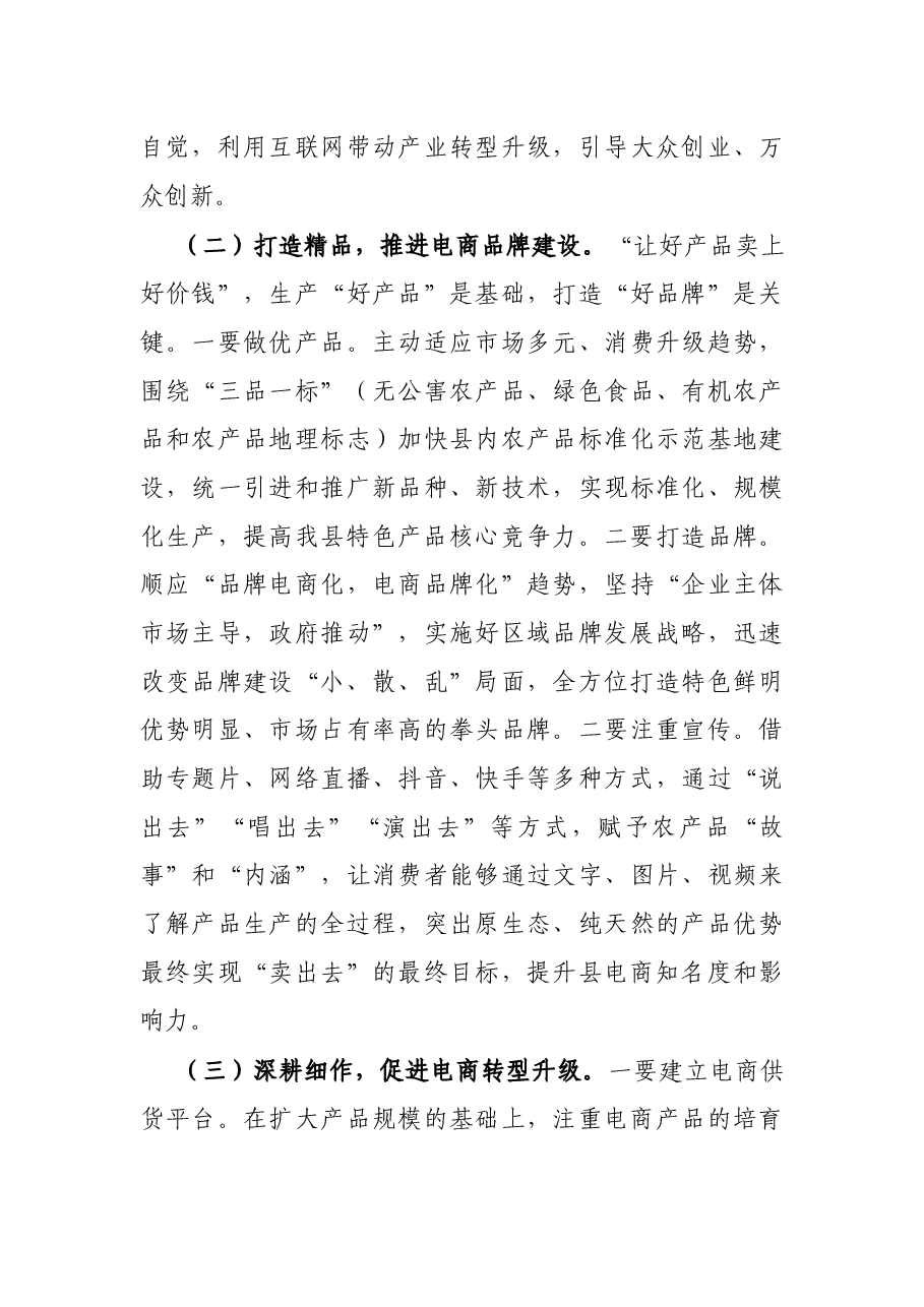 在全县电子商务调研座谈会上的讲话.docx,第4页预览