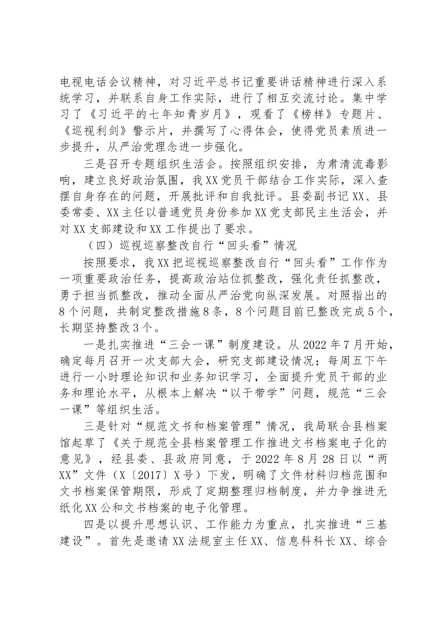 党支部书记党建工作专项述职报告.docx,第3页预览