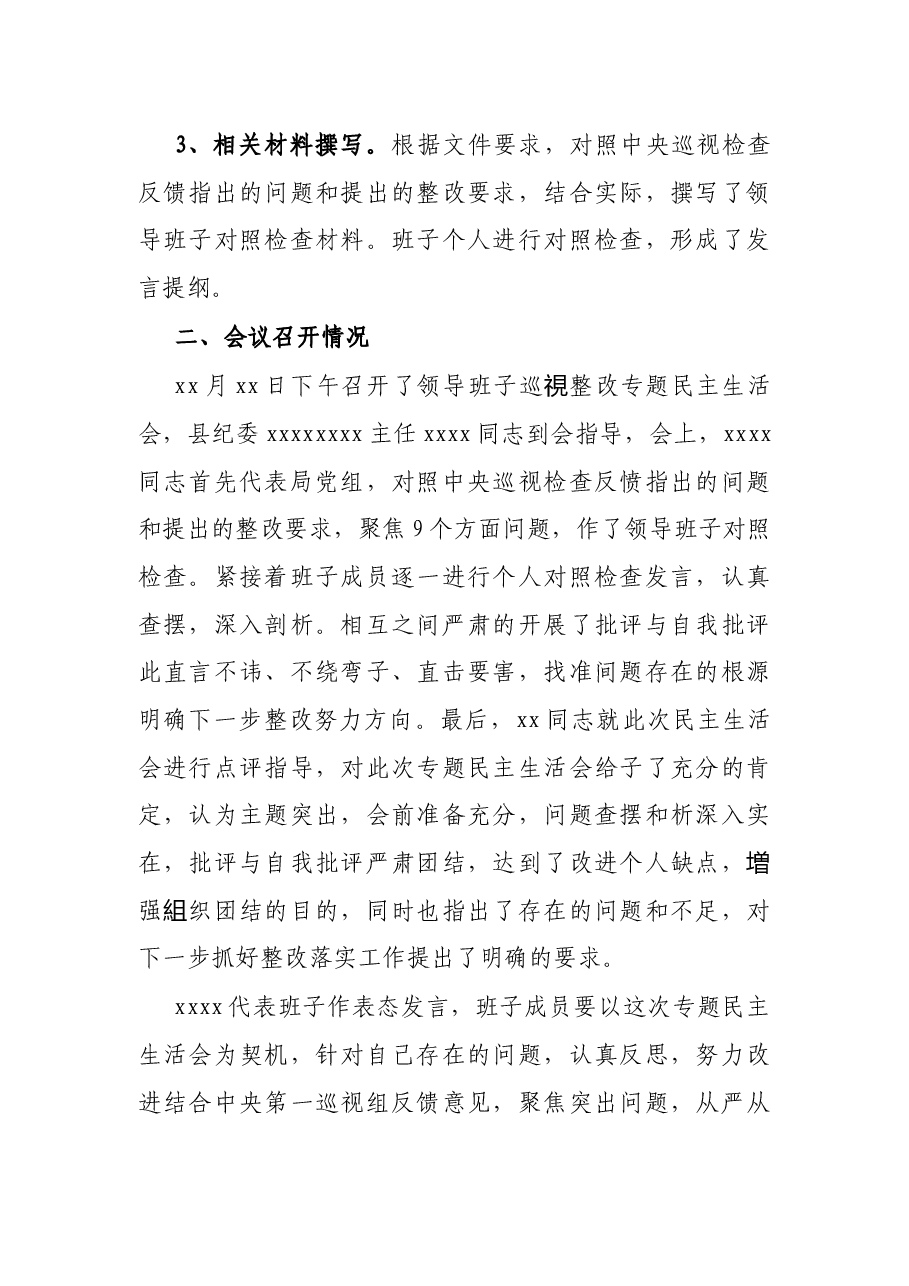 X局党组巡视整改专题民主生活会情况报告.docx,第2页预览