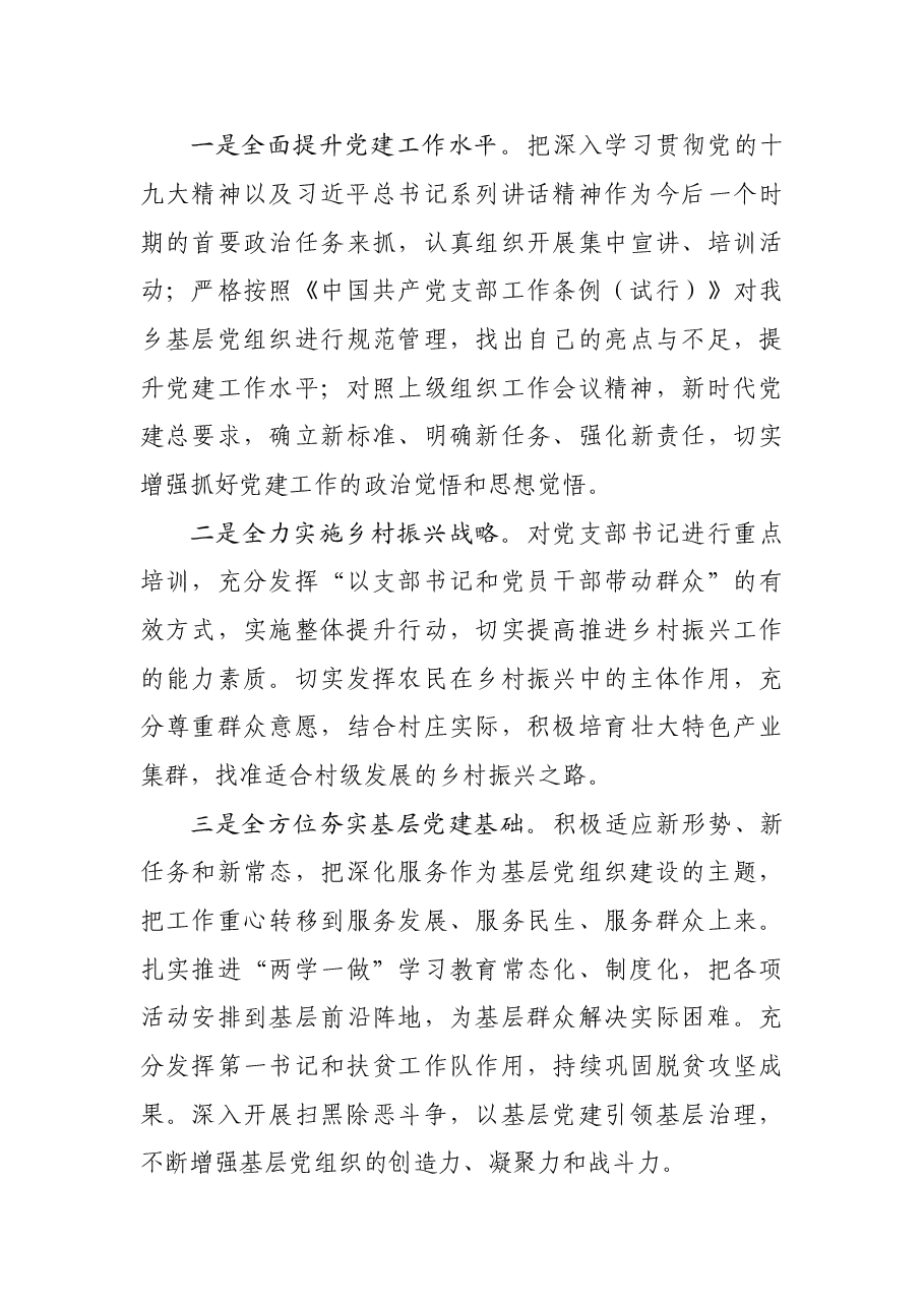 乡镇抓基层党建述职报告.doc,第4页预览