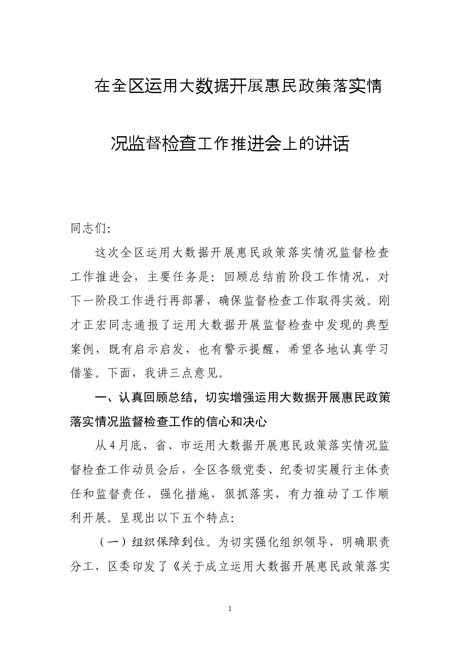 在全区大数据监督检查工作推进会上的讲话.doc,第1页预览