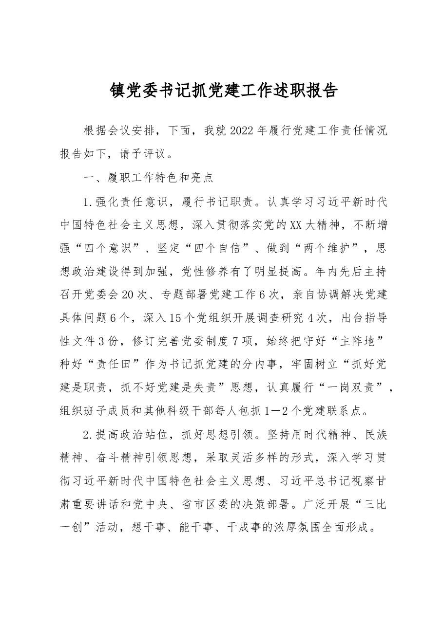 镇党委书记抓党建工作述职报告(1).docx,第1页预览