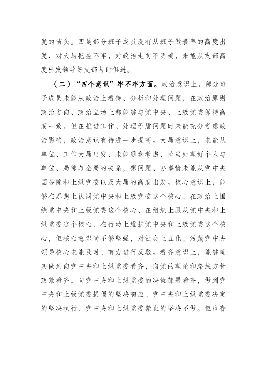 党支部“政治功能强不强”等六个方面问题专题组织生活会对照检查.docx,第2页预览