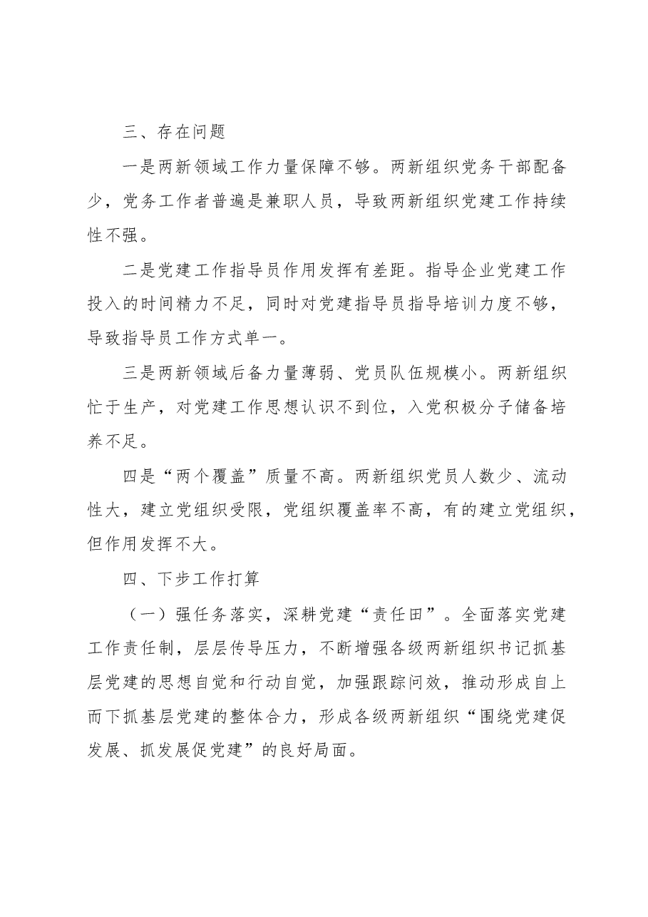 两新组织工委书记抓基层党建工作述职报告.docx，第3页预览