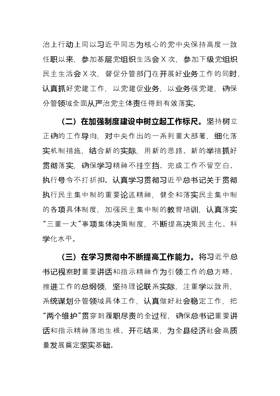 公安局长2021年度述职述廉报告.docx,第2页预览