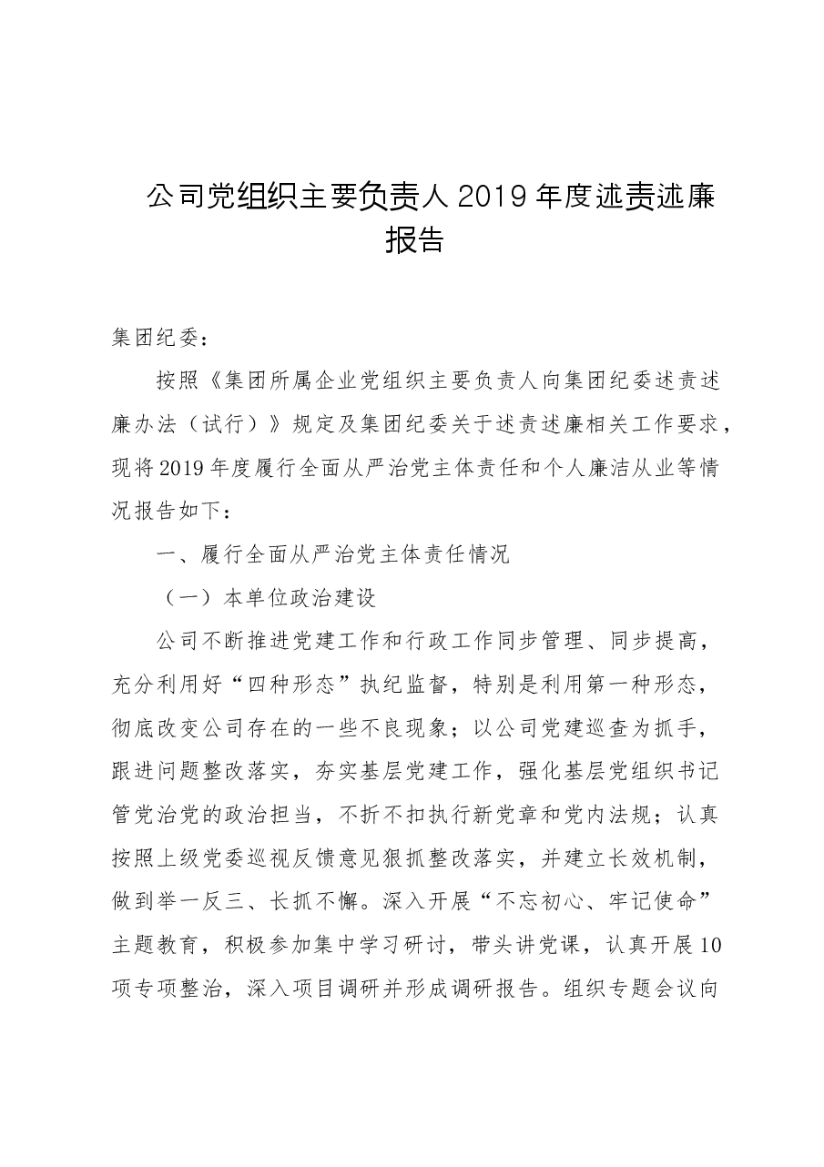 公司党组织主要负责人2019年度述责述廉报告.doc，第1页预览