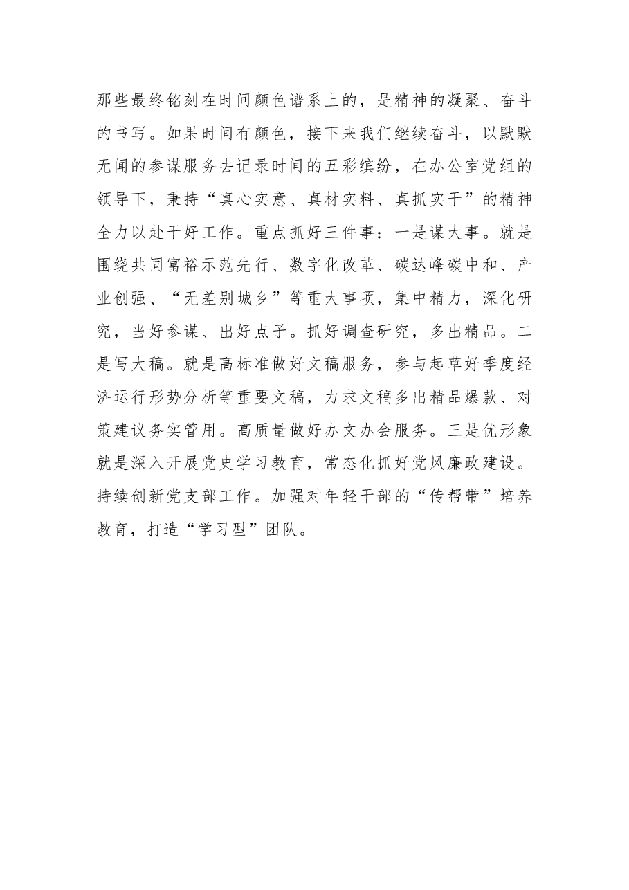 时间的颜色——政府办公室处室述职报告.docx,第4页预览