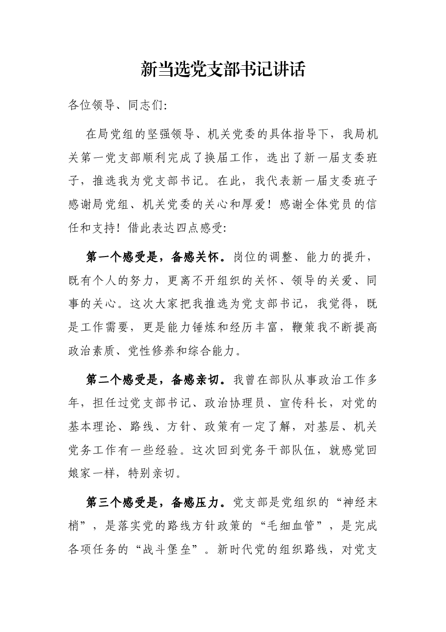新当选党支部书记讲话.docx,第1页预览