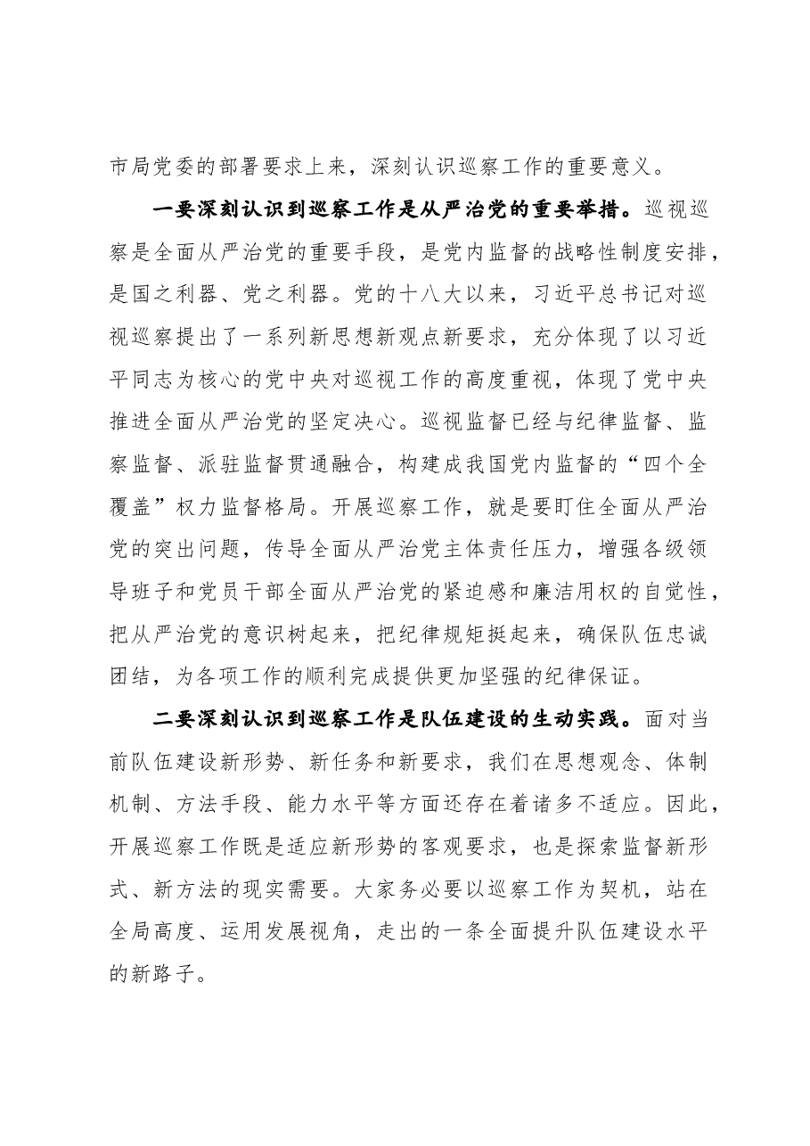 在市局巡察办会议上的讲话.docx,第2页预览