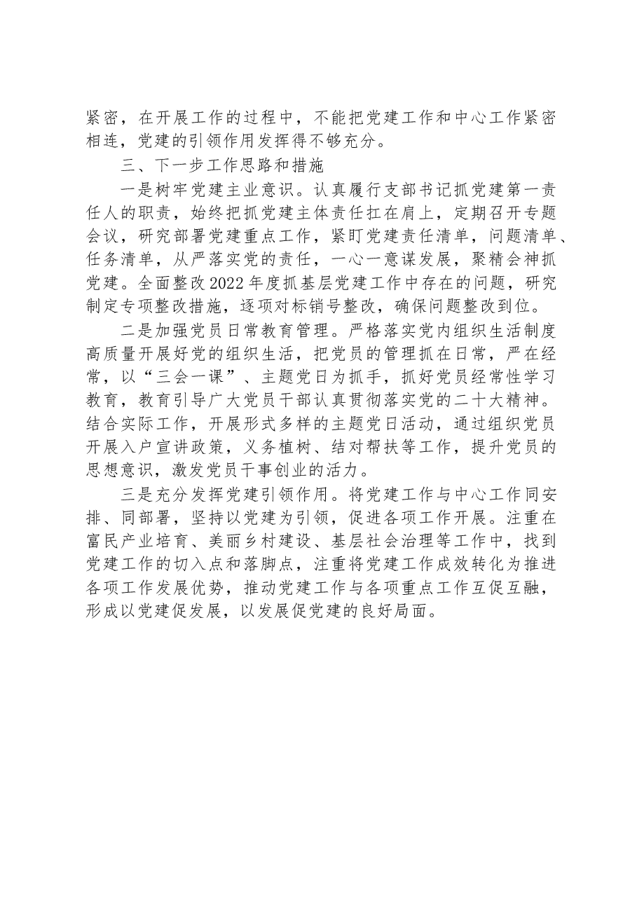 村党支部书记抓基层党建述职报告.docx,第3页预览