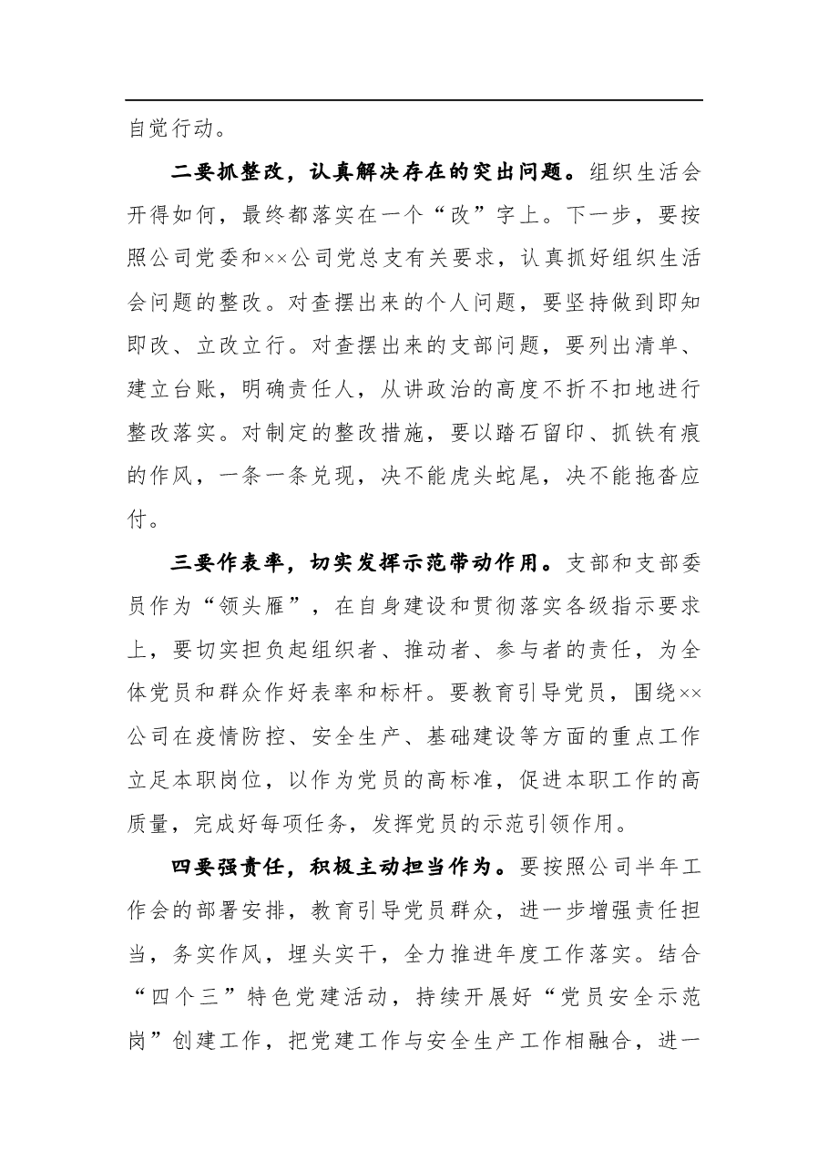 国企党委书记参加下属公司支部专题组织生活会点评材料.docx,第3页预览