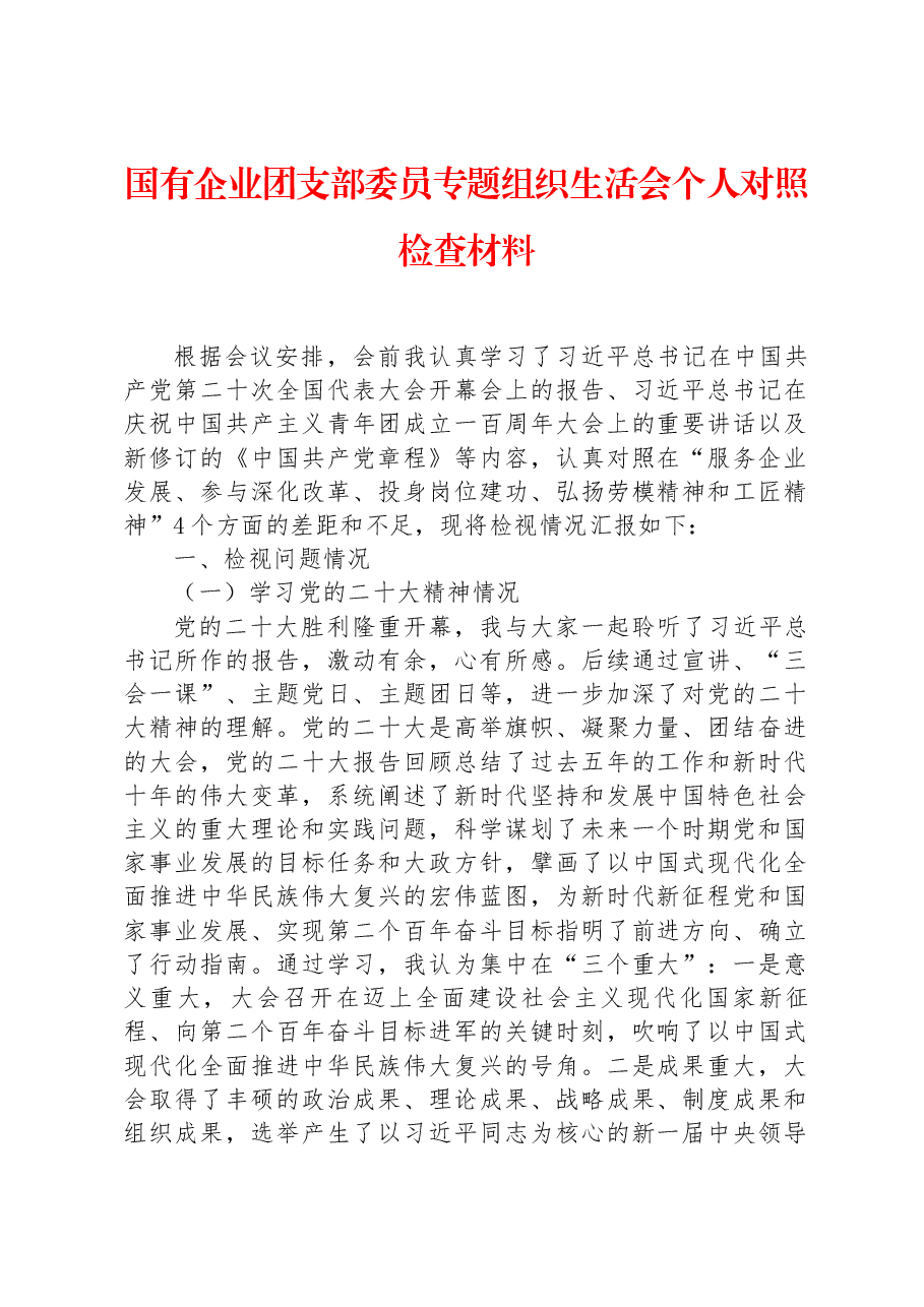 国有企业团支部委员专题组织生活会个人对照检查材料.docx,第1页预览