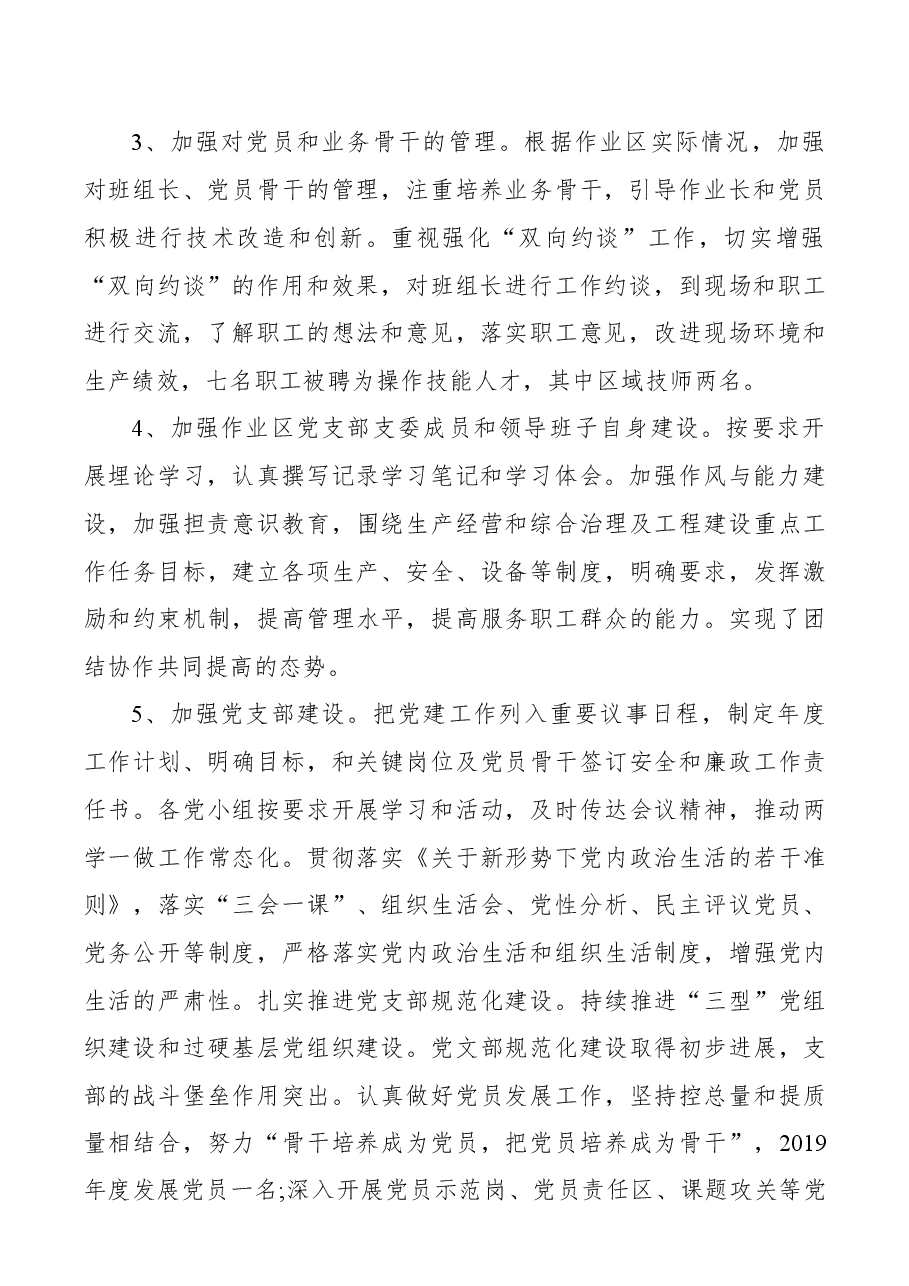 【述职报告】2019年抓基层党建工作述职报告2.docx,第2页预览