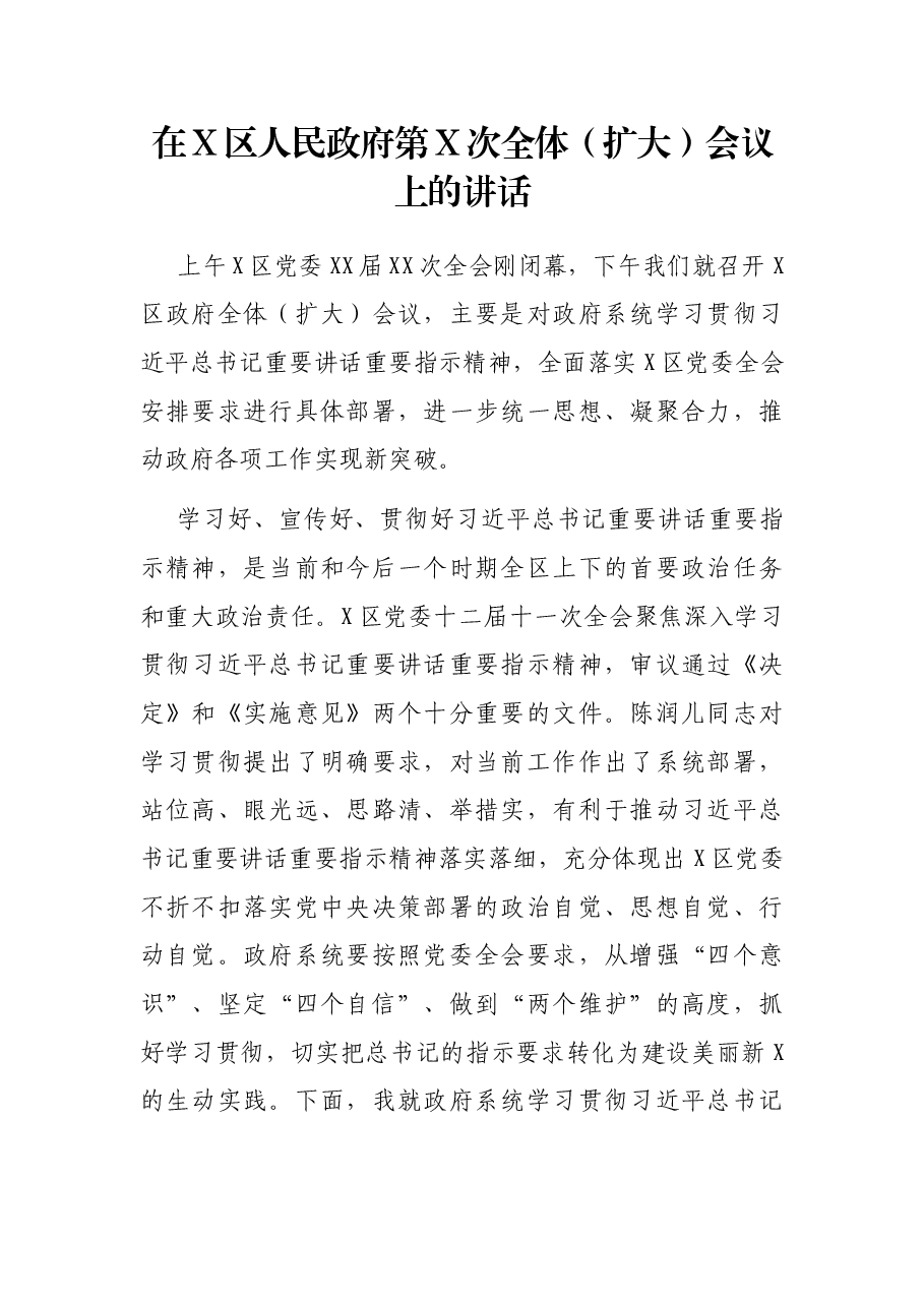在X区人民政府第X次全体(扩大)会议上的讲话.docx,第1页预览