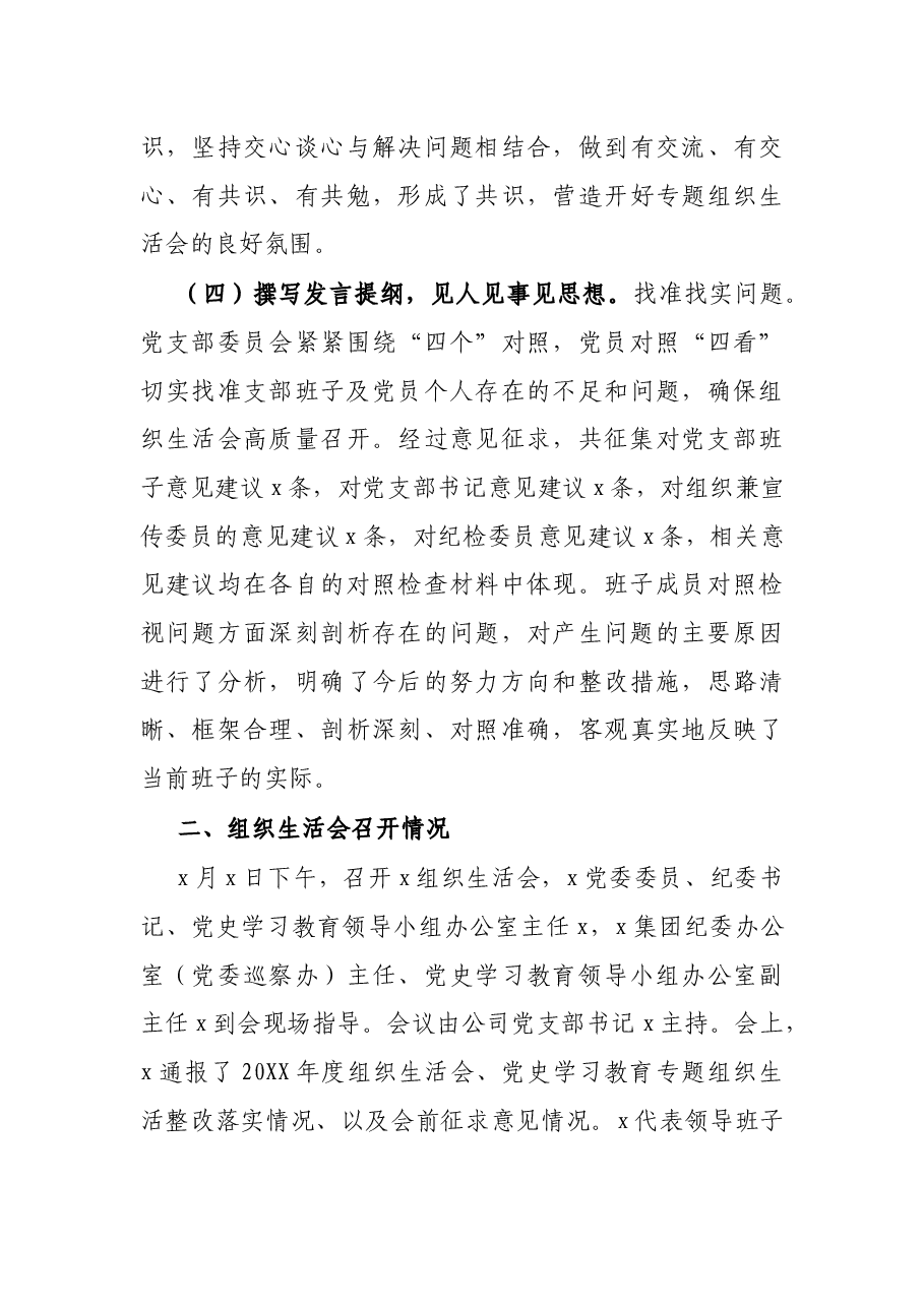 国企党支部2021年度组织生活会和民主评议党员开展情况汇报.docx,第3页预览