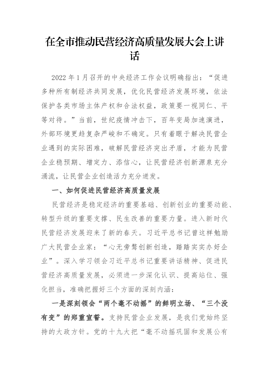 在全市推动民营经济高质量发展大会上讲话.docx,第1页预览