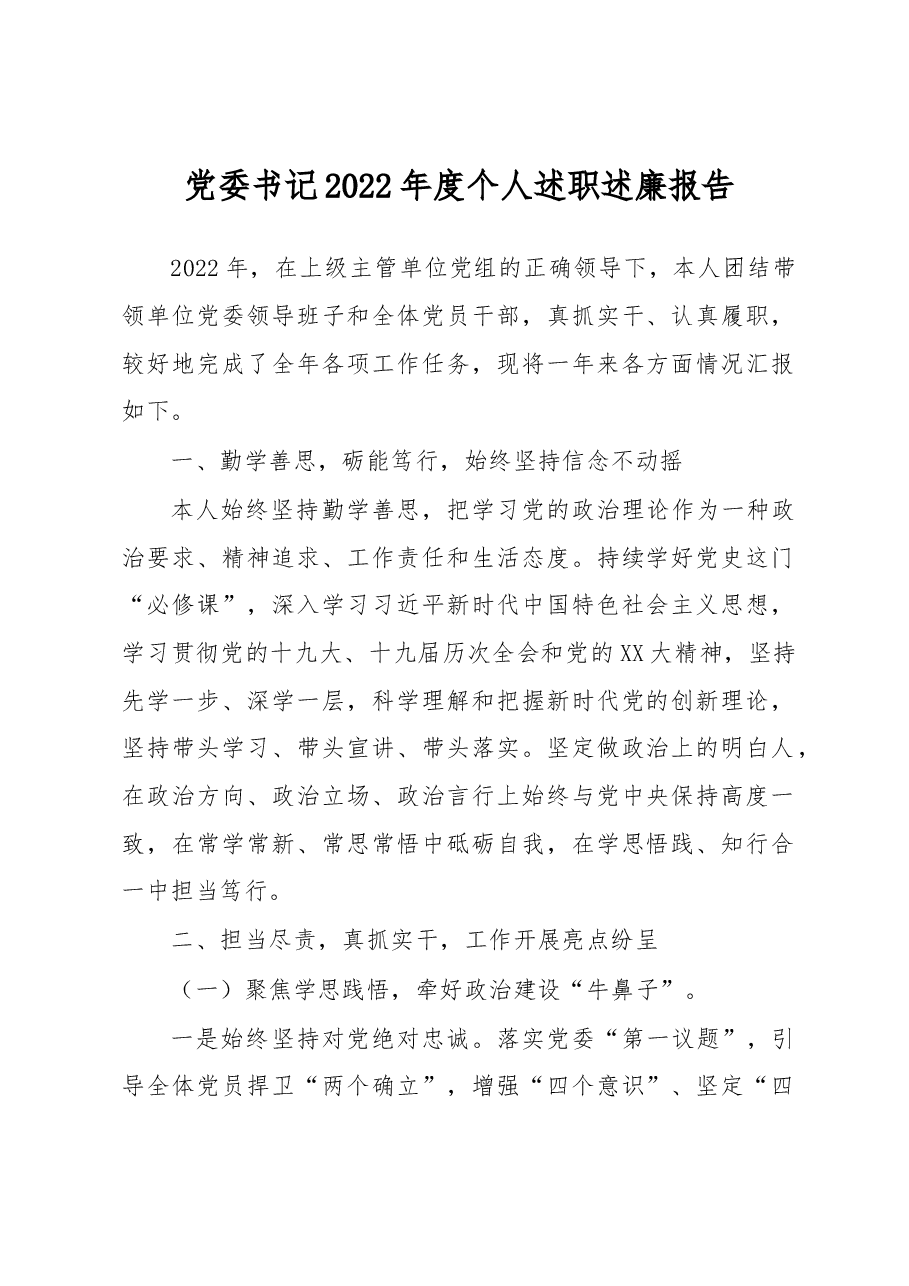 党委书记2022年度个人述职述廉报告.docx,第1页预览