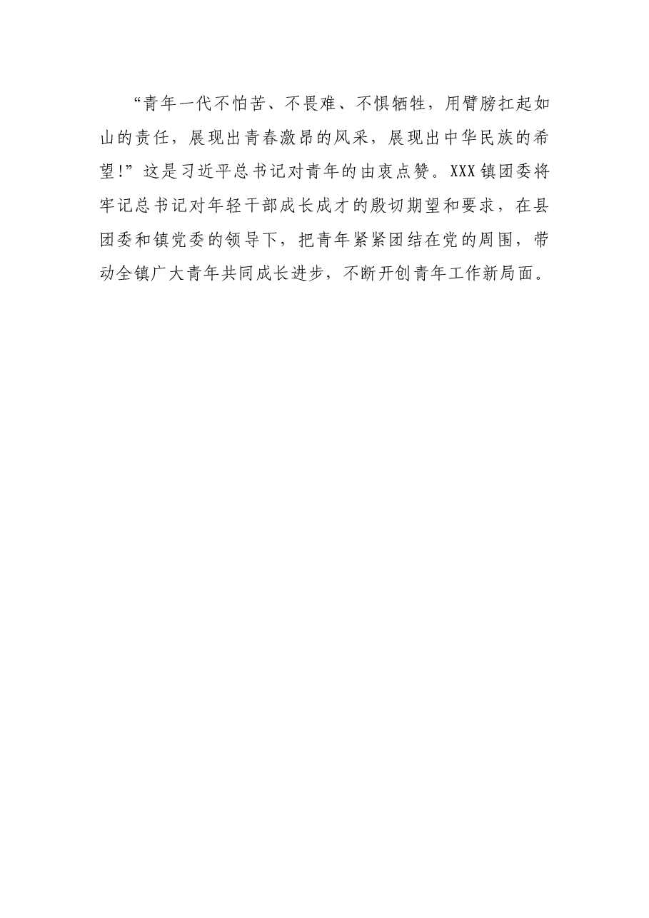 202X年度XXX镇团委述职报告.docx,第4页预览