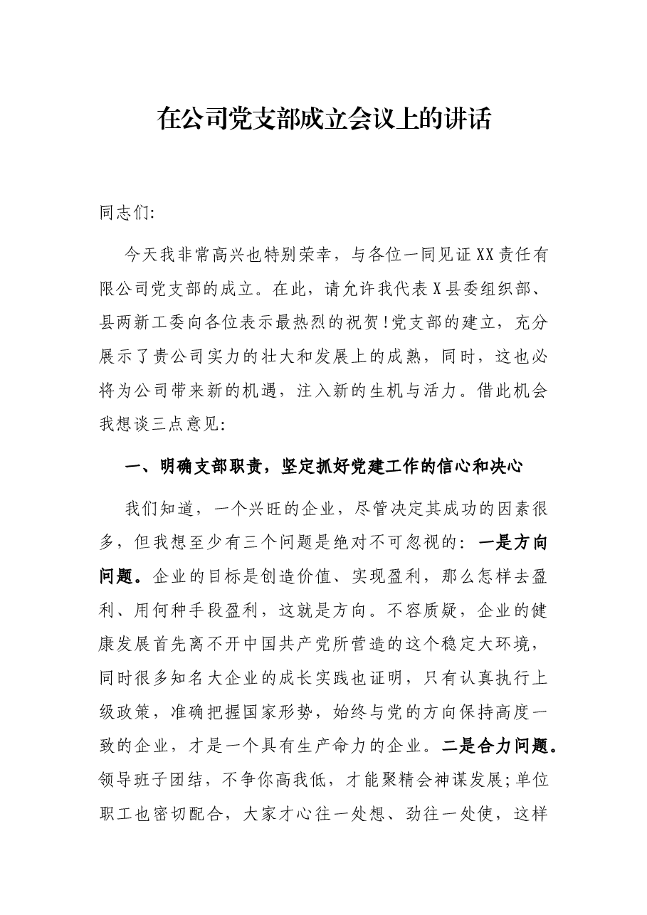 在公司党支部成立会议上的讲话.docx,第1页预览