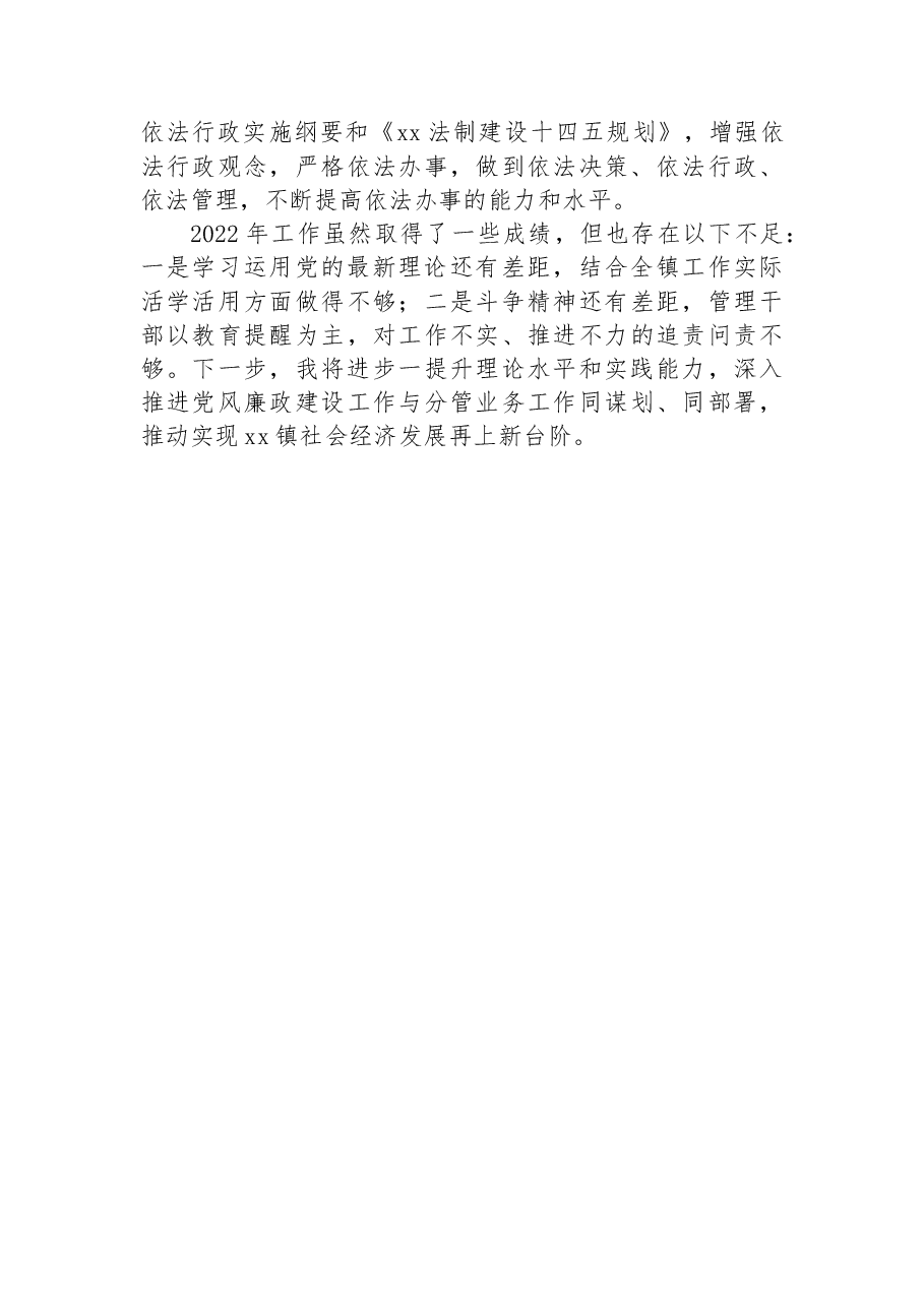 镇班子成员2022年度个人述职报告.docx，第3页预览