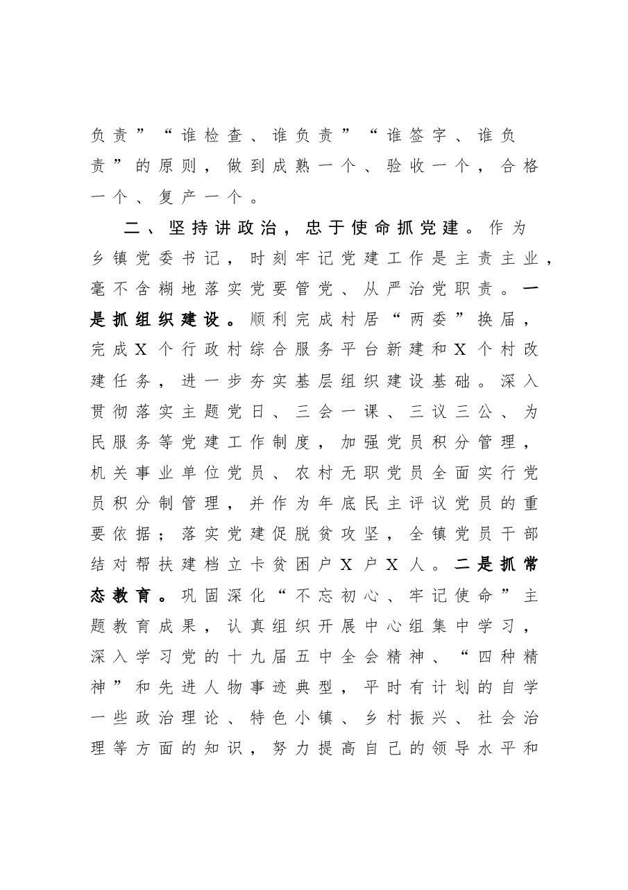 年终:2020年镇党委书记述责述廉报告.docx,第3页预览