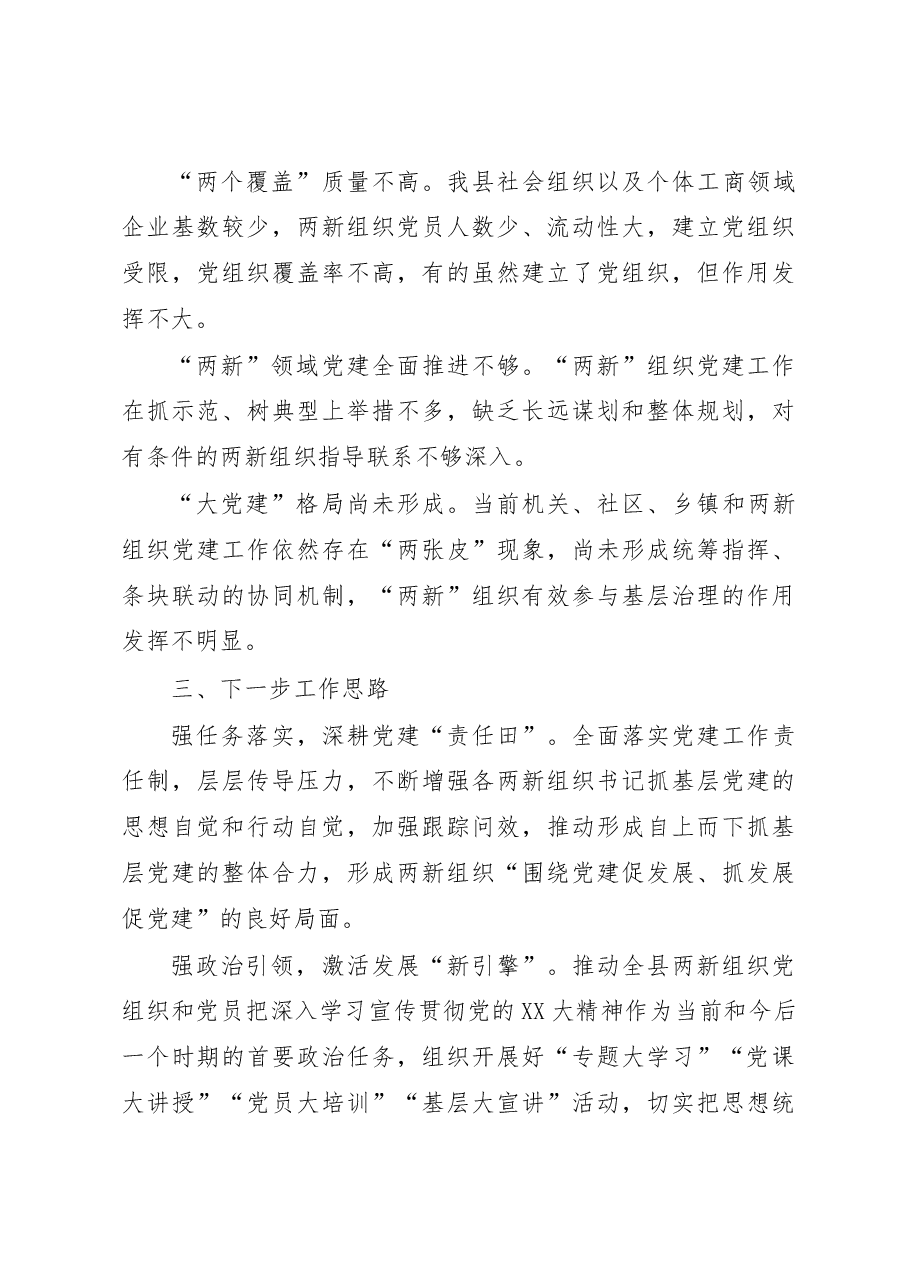 （6篇）2022年度各市县委两新工委书记抓基层党建述职报告汇编.docx，第4页预览