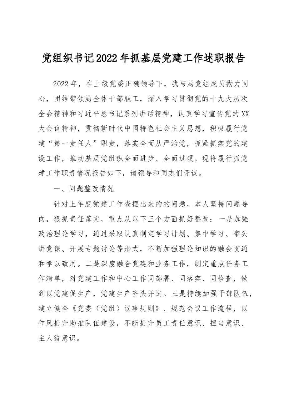 党组织书记2022年抓基层党建工作述职报告.docx,第1页预览