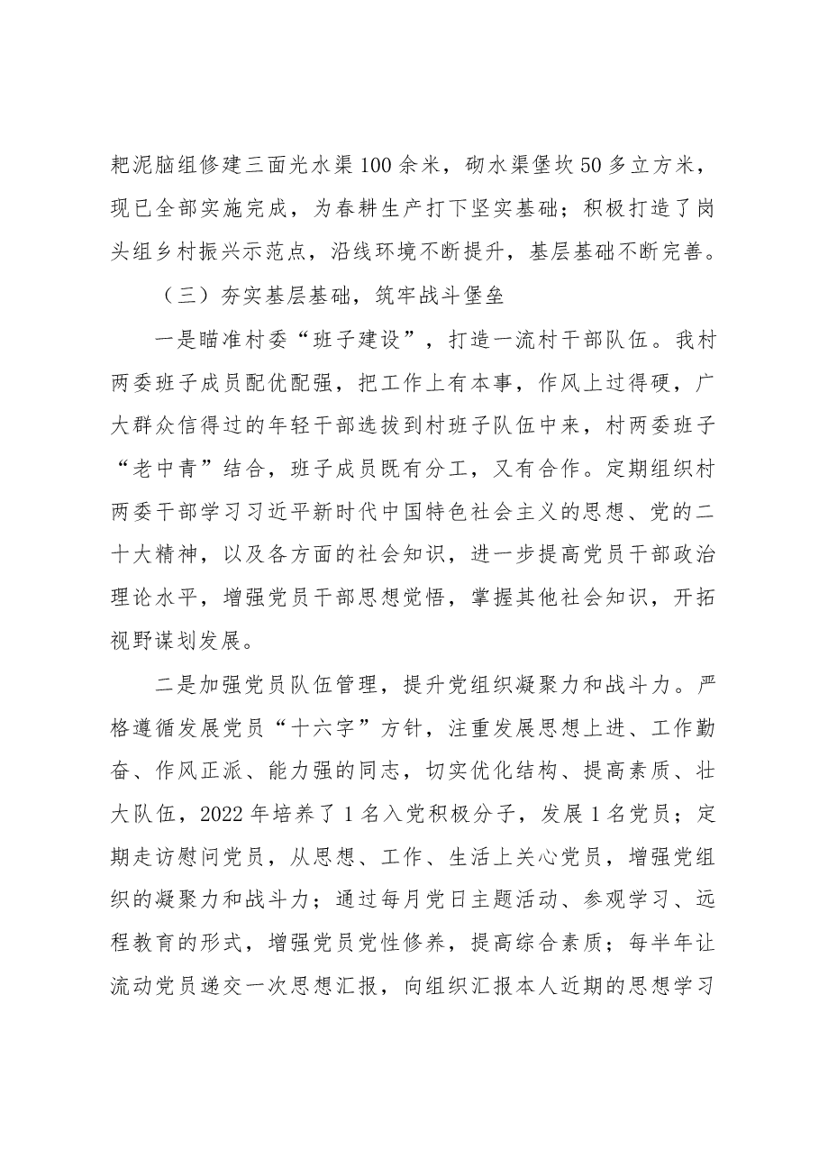 XX镇XX村2022年度基层党建工作述职报告和工作总结.doc,第3页预览