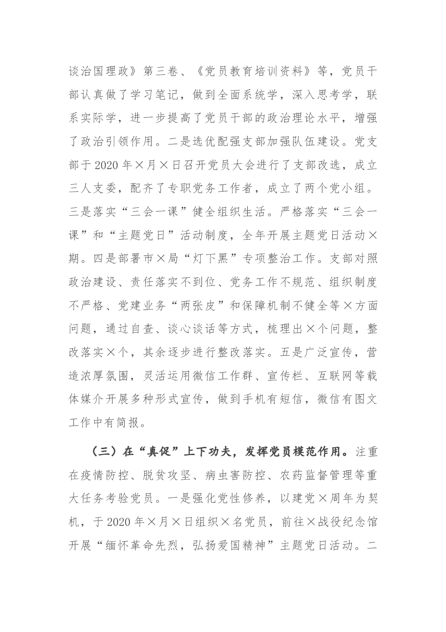 X市X站党支部书记2020年度抓党建工作述职报告.docx,第2页预览