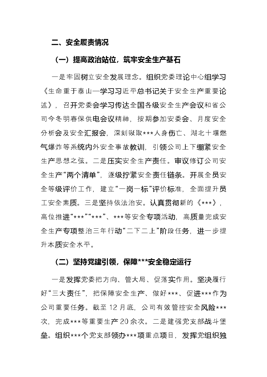 公司党委书记2021年抓安全工作述职报告.docx,第2页预览