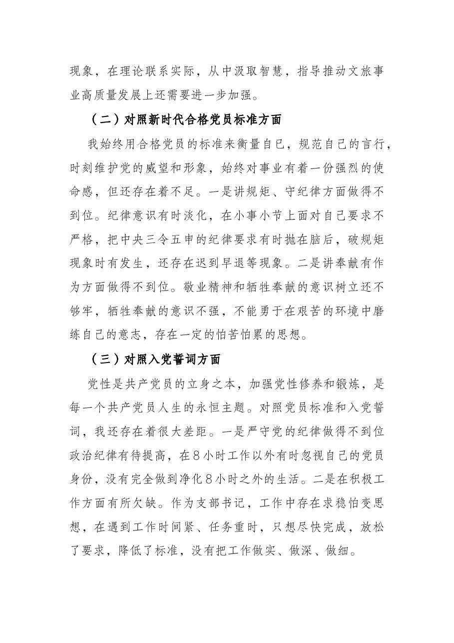 2021年度组织生活会个人对照材料（支部书记）.docx，第2页预览