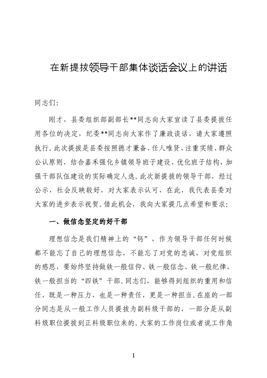 在新提拔领导干部集体谈话会议上的讲话(范文).docx,第1页预览