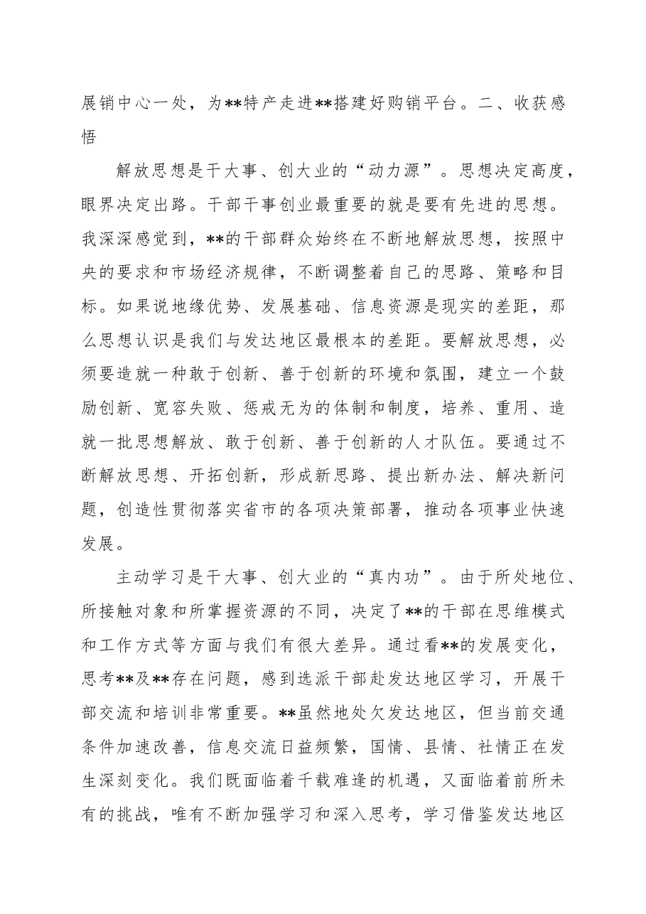 挂职干部2022年述职述责报告.docx,第3页预览