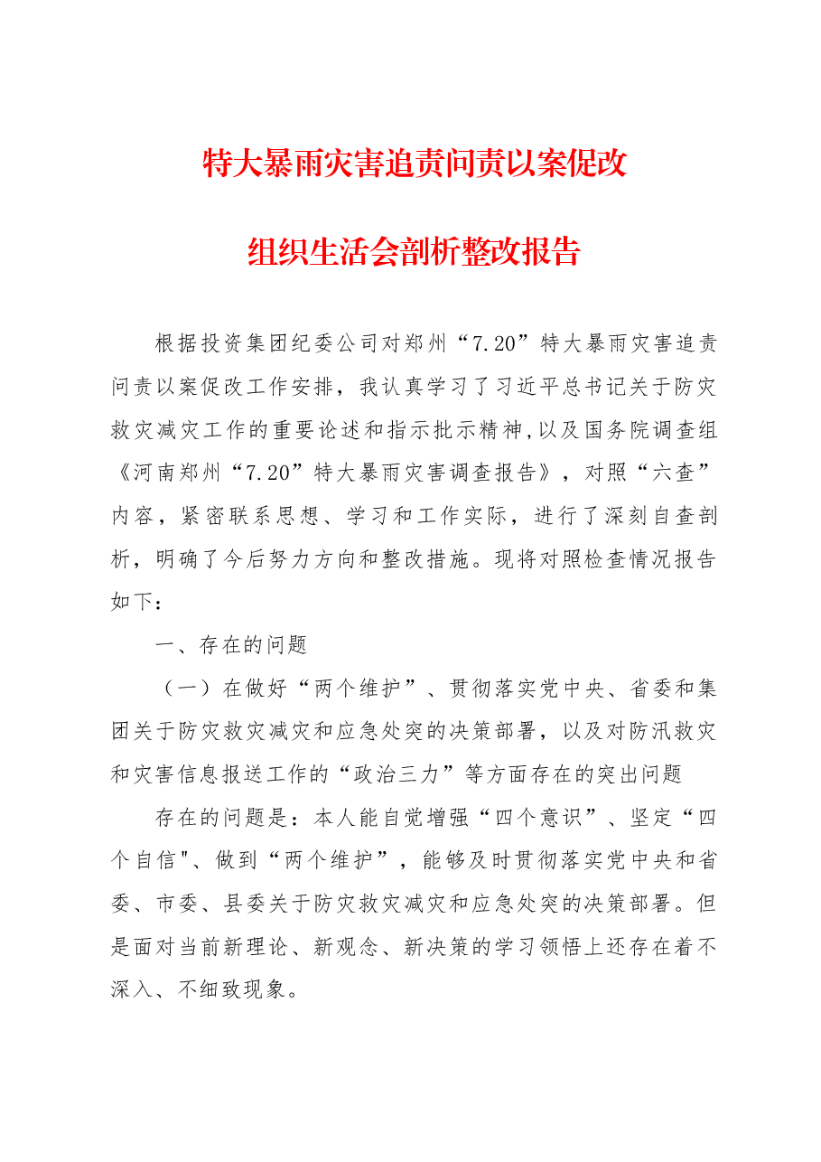 特大暴雨灾害追责问责以案促改组织生活会剖析整改报告.docx,第1页预览