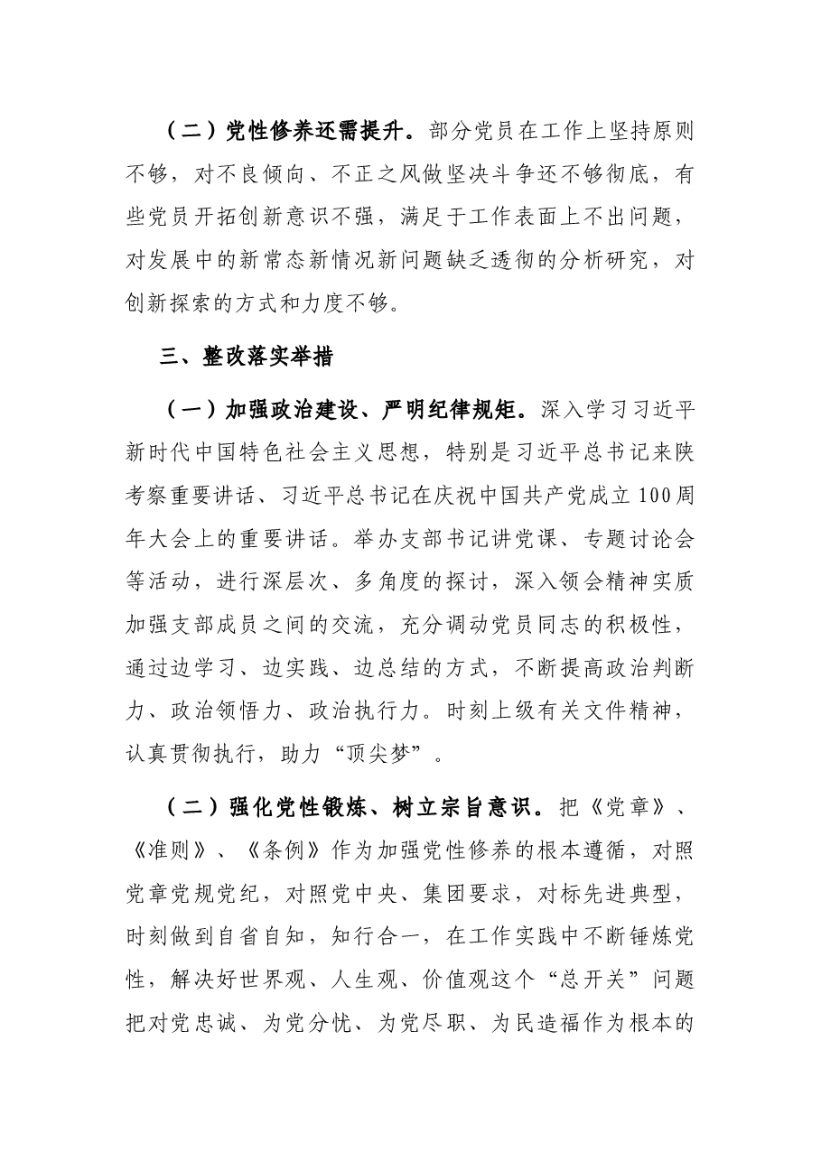巡察整改专题组织生活会对照检查材料（支委班子）.docx，第3页预览