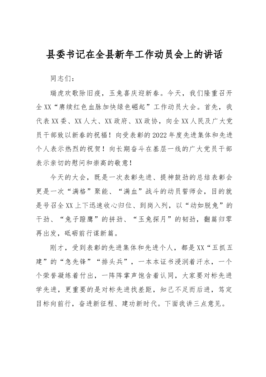 县委书记在全县新年工作动员会上的讲话.docx,第1页预览