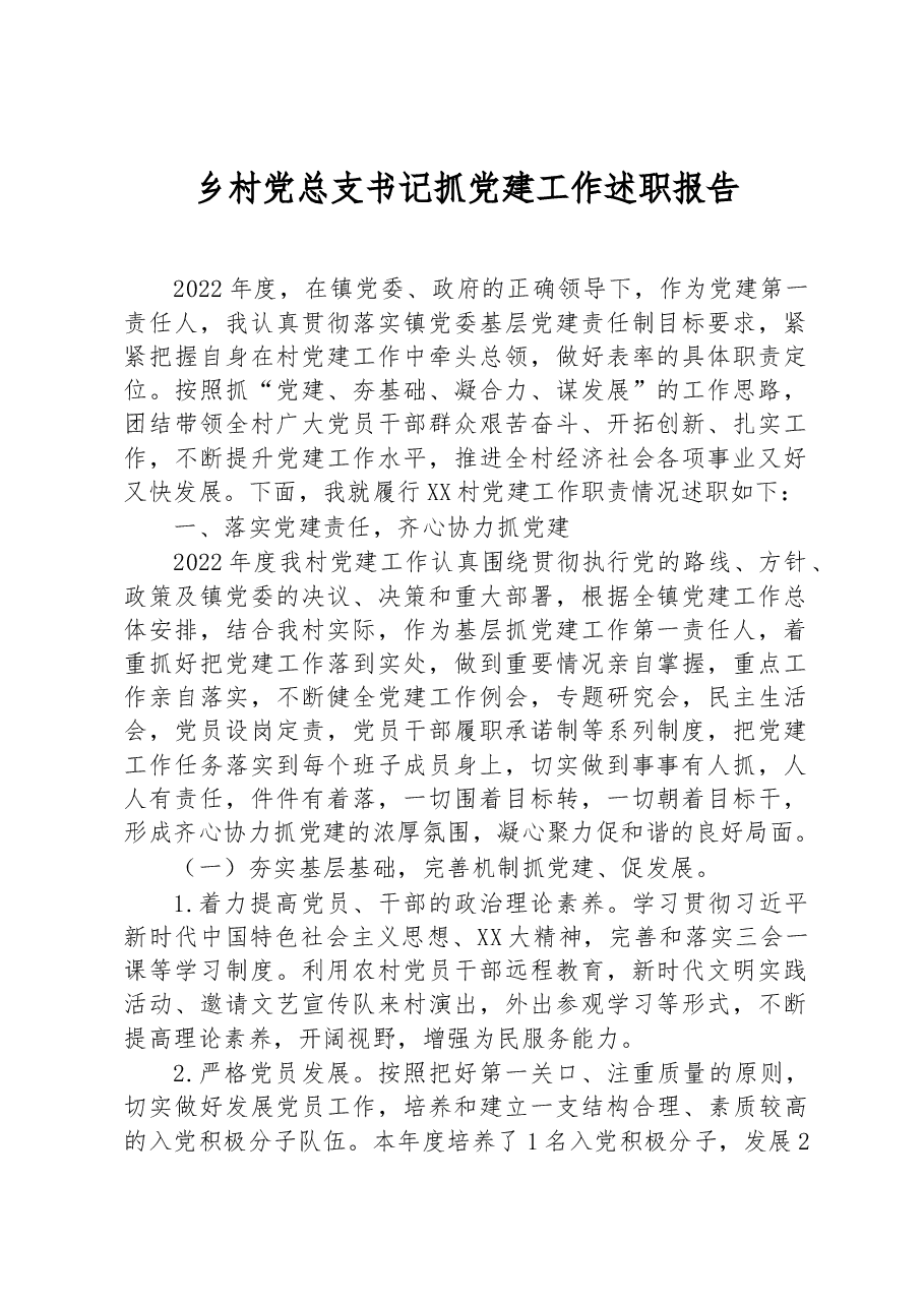 乡村党总支书记抓党建工作述职报告.docx,第1页预览