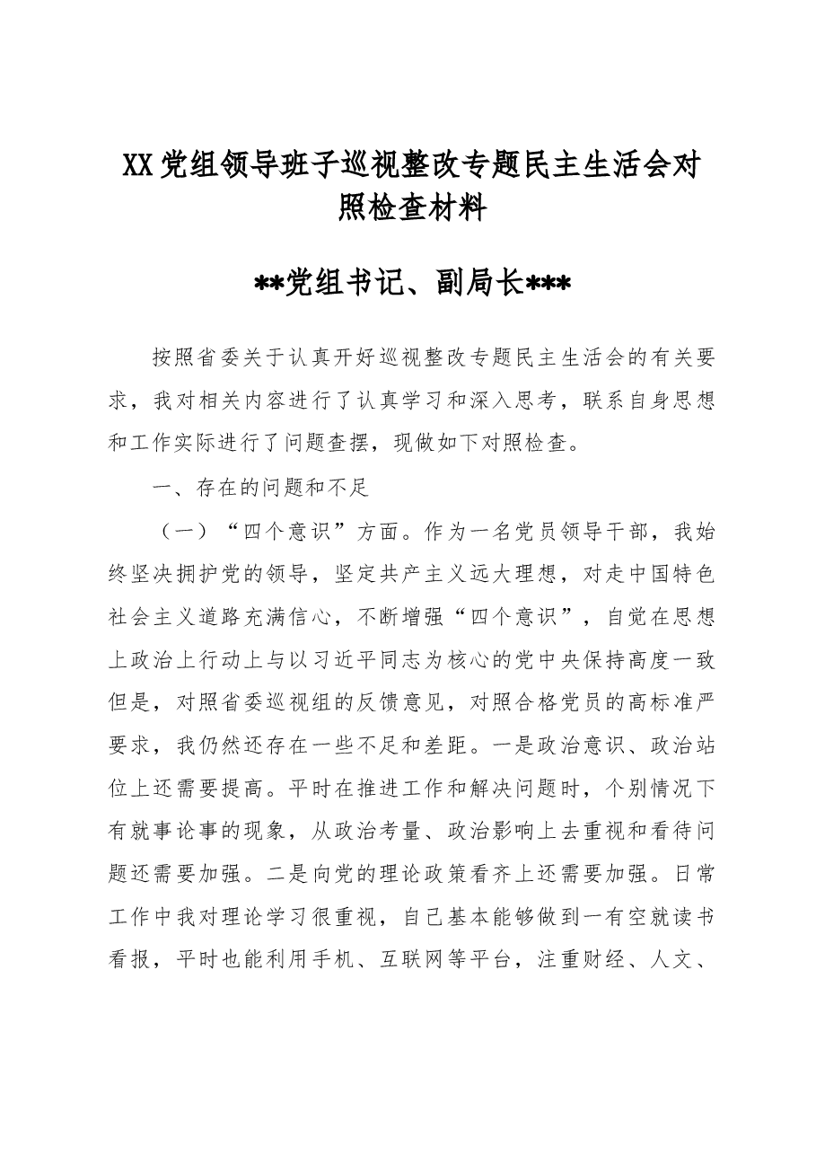 XX党组领导班子巡视整改专题民主生活会对照检查材料2.doc，第1页预览