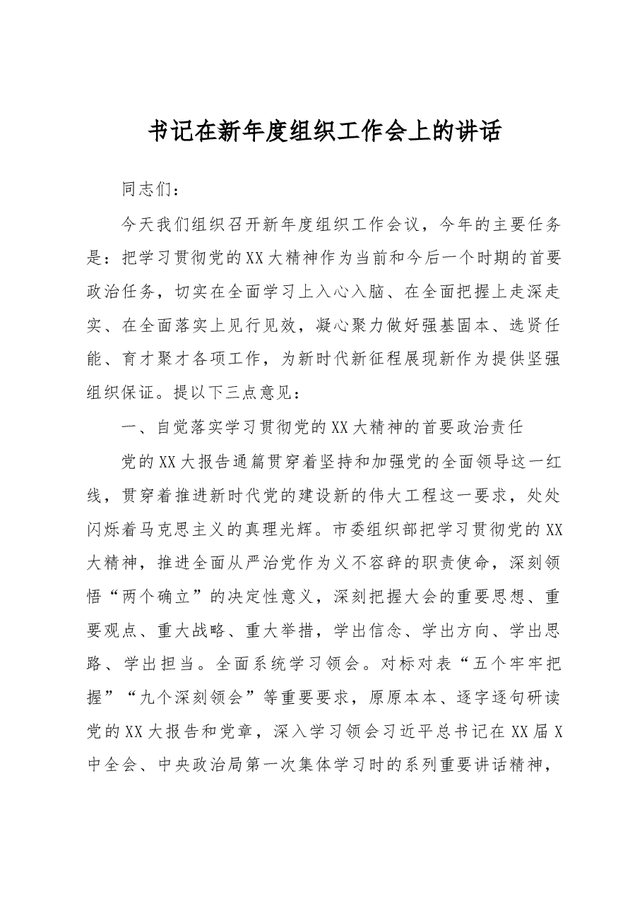 书记在新年度组织工作会上的讲话.docx,第1页预览