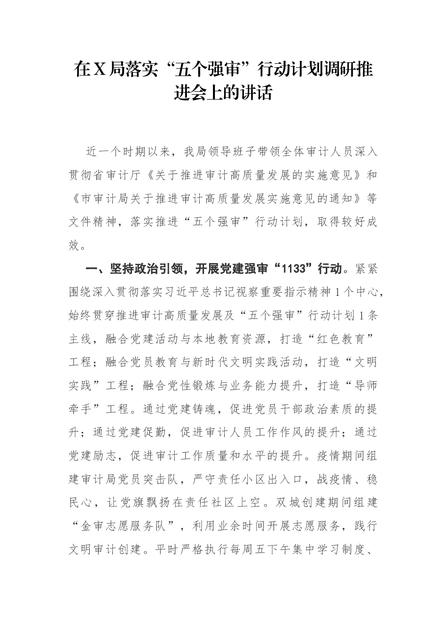 在X局落实“五个强审”行动计划调研推进会上的讲话.docx,第1页预览